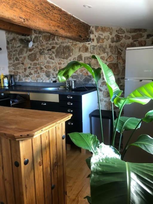 Sète Le Loft Cosy - Centre Ville - Cadre Royal מראה חיצוני תמונה