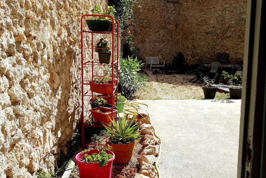 Sète Le Loft Cosy - Centre Ville - Cadre Royal מראה חיצוני תמונה